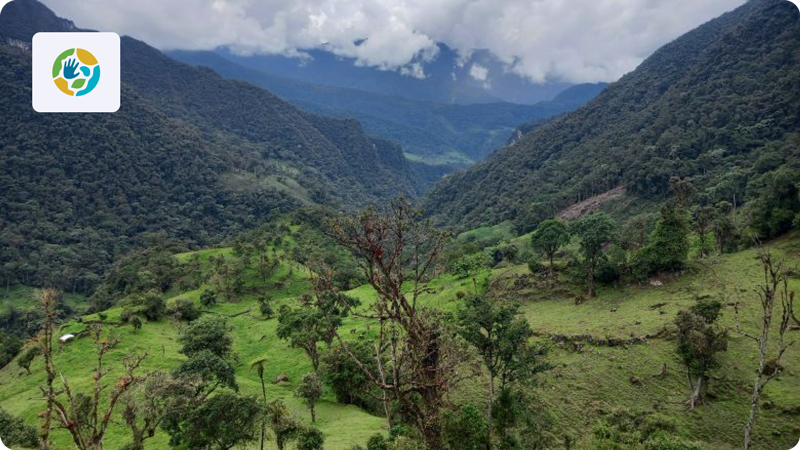 Conservation of Madre de Dios in the Amazon